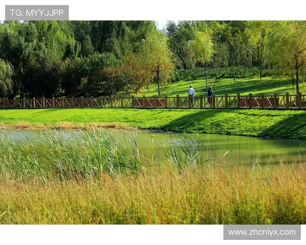 爱游戏正版倡导公平游戏环境，营造健康绿色的游戏生态系统